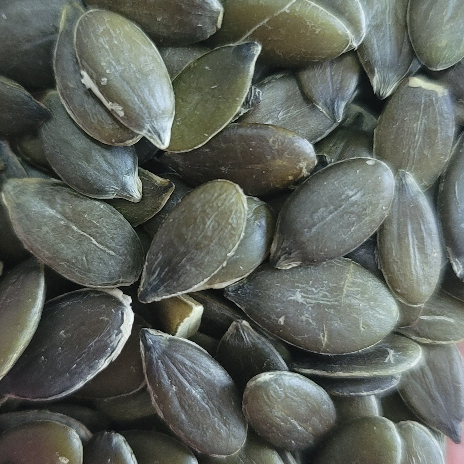 Pumpkin Kernel GWS 无壳南瓜籽仁